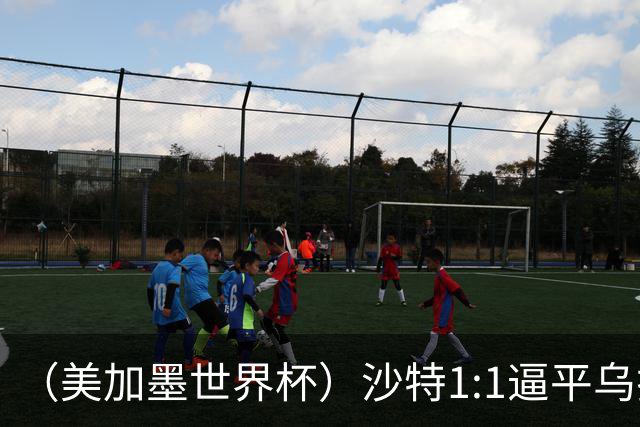（美加墨世界杯）沙特1:1逼平乌拉圭 伊朗2:2战平新西兰
