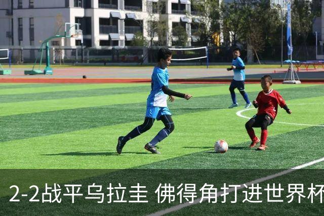2-2战平乌拉圭 佛得角打进世界杯队史首球